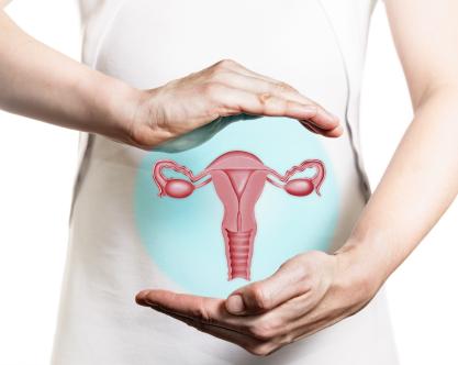 vaginal microbiota